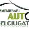 Dezmembrari Belciugatele