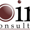 POINT CONSULTING