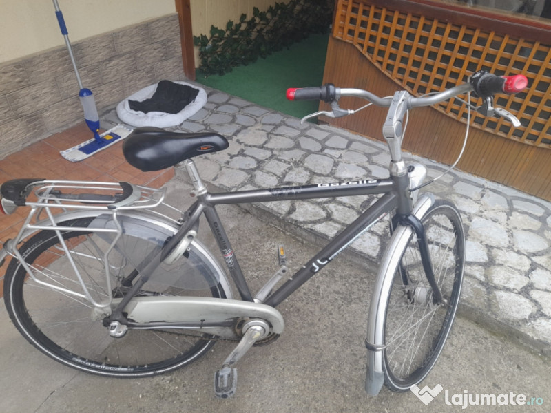 hard working affix pie Bicicleta Gazelle, 250 eur - Lajumate.ro
