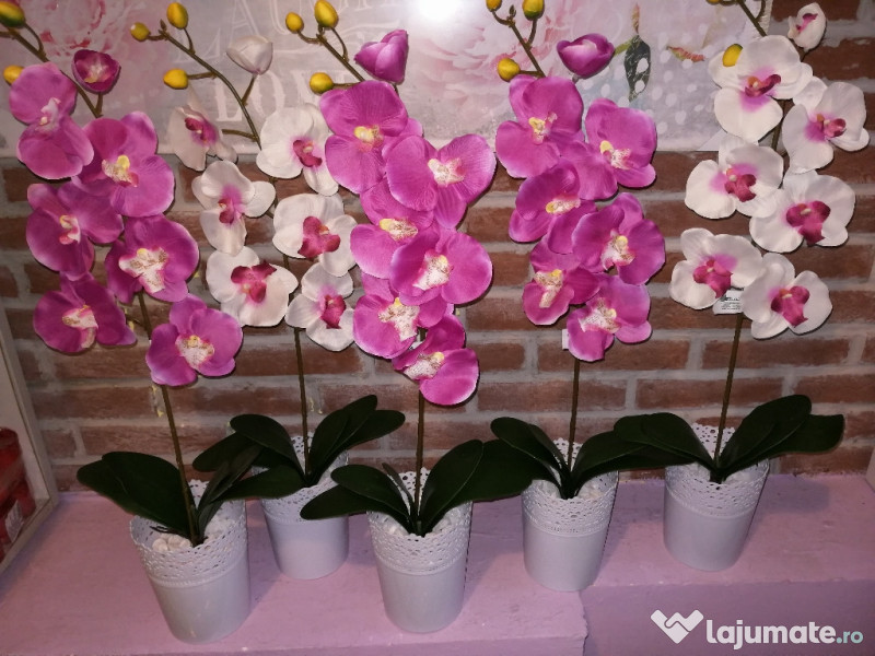 Orhidee Artificială In Ghiveci Plante Decorative 50 Lei Lajumate Ro