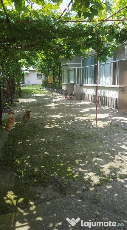 Casa Crampoia - Olt - centru