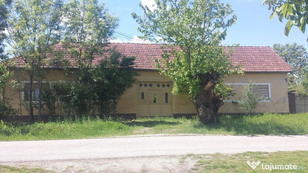 Casa cu potential in Voivodeni