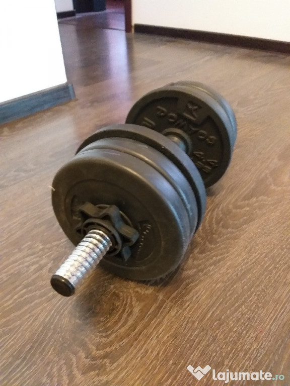 Gantera 10kg