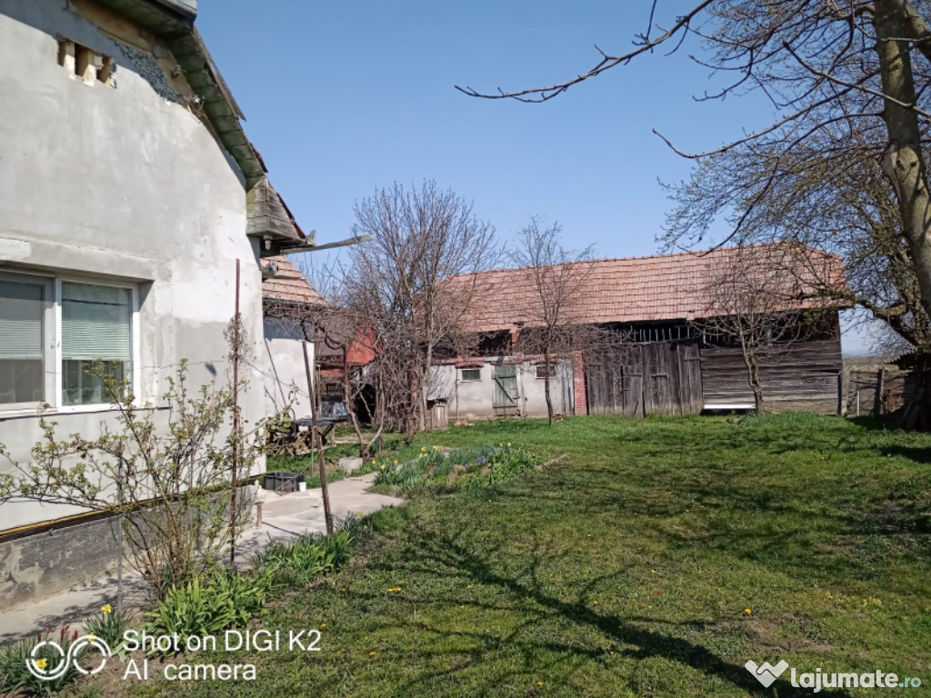 2 case pe curte 2 cam + buc 88m" 20km Tg Mureș 14 ari