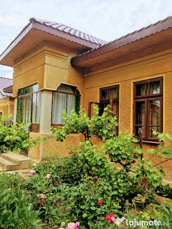 Casa in Liiceni, Olt