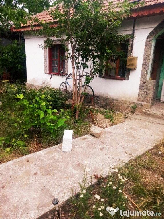 Casa cu teren de 1800m2 + 85 de ari la 10 km de Buzau