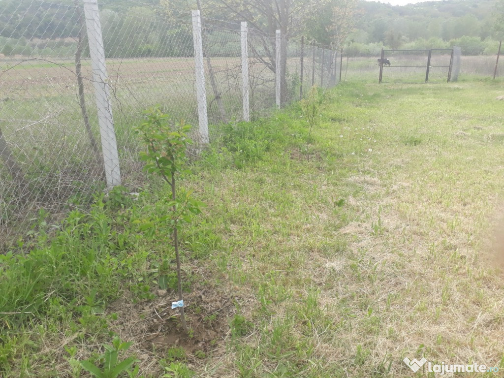 Casă sat Vidin, comuna Jupânesti