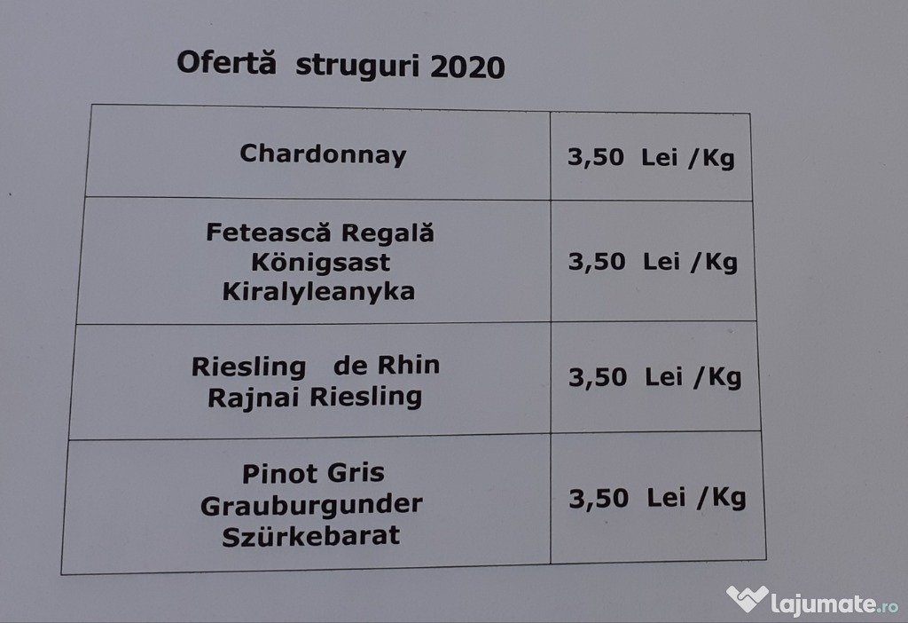 Struguri pentru vin