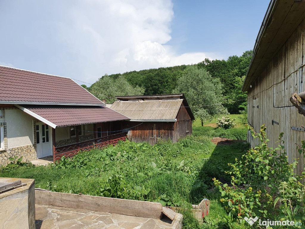 Casă cu grădină și livadă, intabulată în Adâncata, Suceava