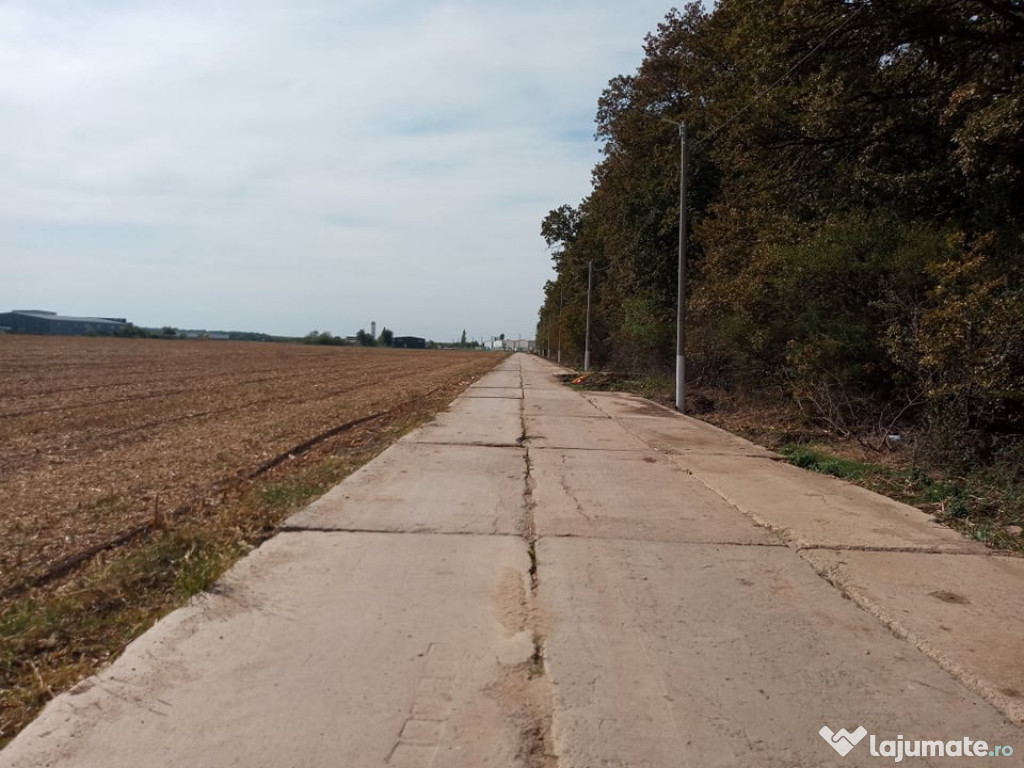 Teren 10000 metri patrati extravilan langa padure sindrilita