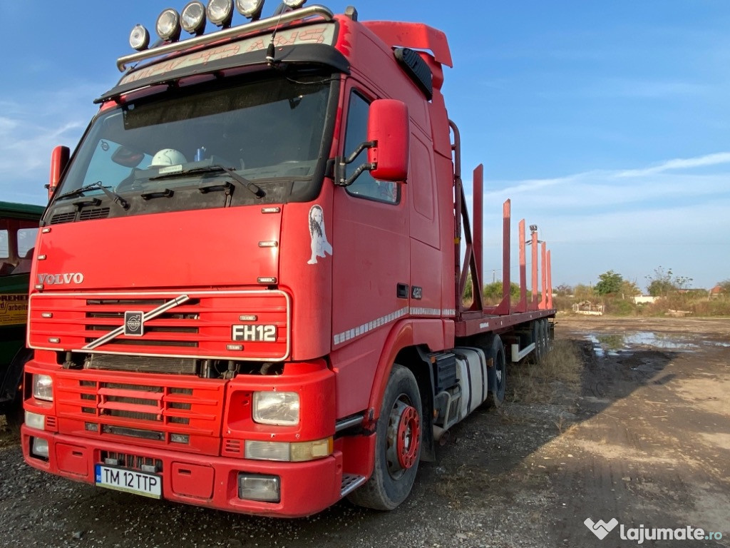 Camion Volvo Transport lemn