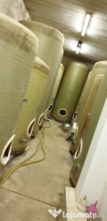 Cisterne de vin Fibra de sticlă 5.000 litri