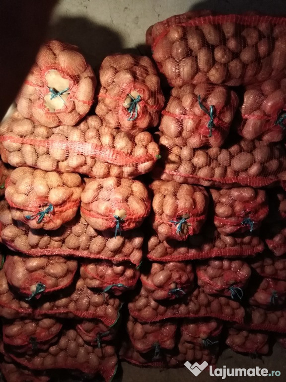 Cartofi consum Belarosa