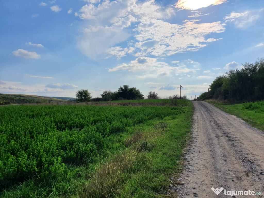 Teren sat Stanciova 3700mp