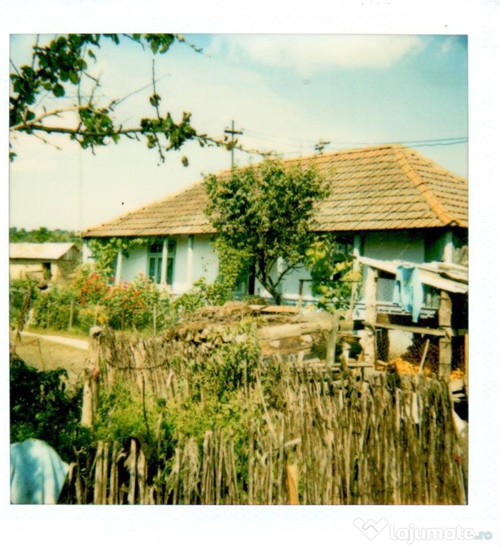 Casa cu gradina la tara Dangeni, Botosani