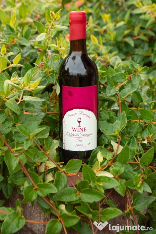 Vin vechi 1980-1999 (Colectie unica in Romania)