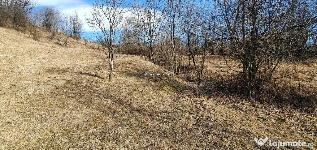 Teren Intravilan 3420 mp Provita, zona Draganeasa