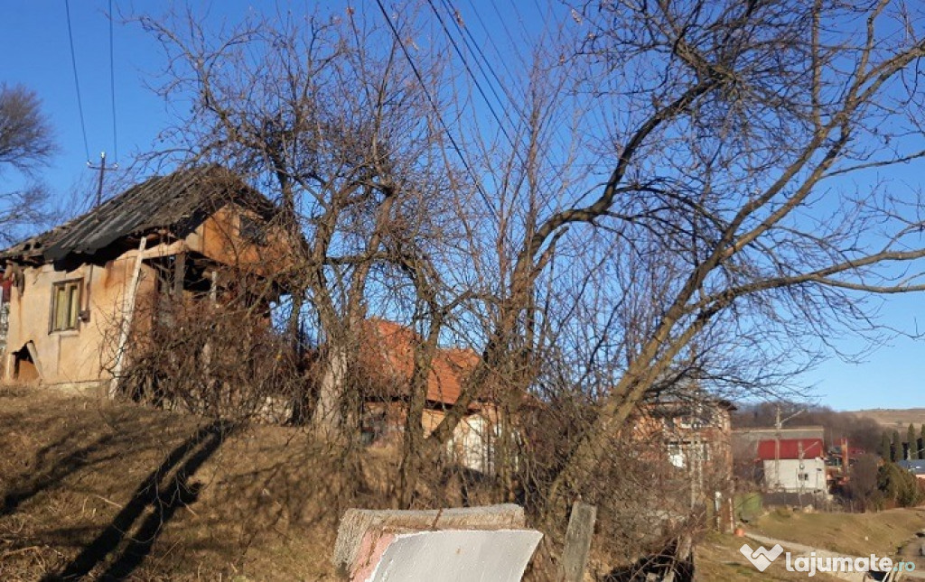 Teren Valea Iasului Arges Intravilan 2470 Mp