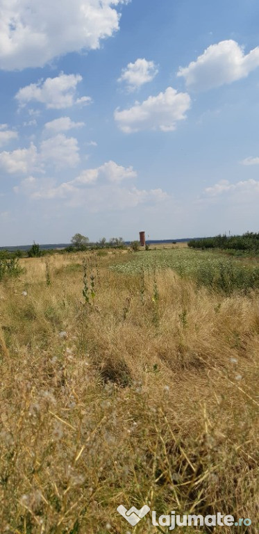 Casă cu teren in comuna Nițchidorf la 30 km de Timișoar