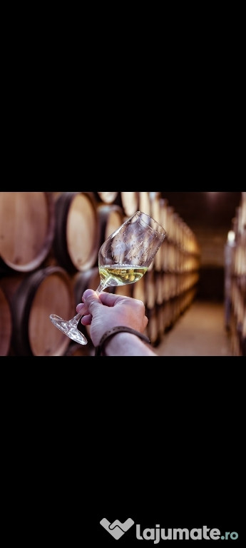 Vin din Vita Nobila - Feteasca Regala