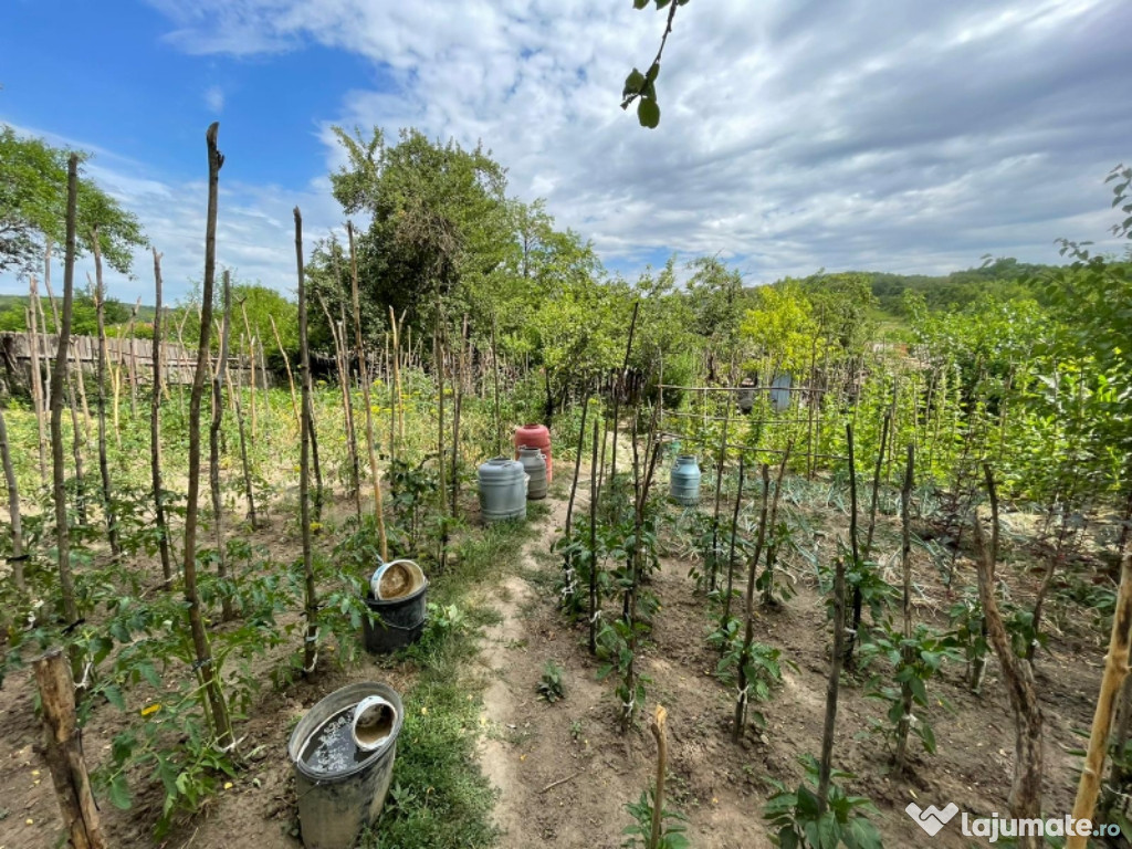 Casă bătrânească