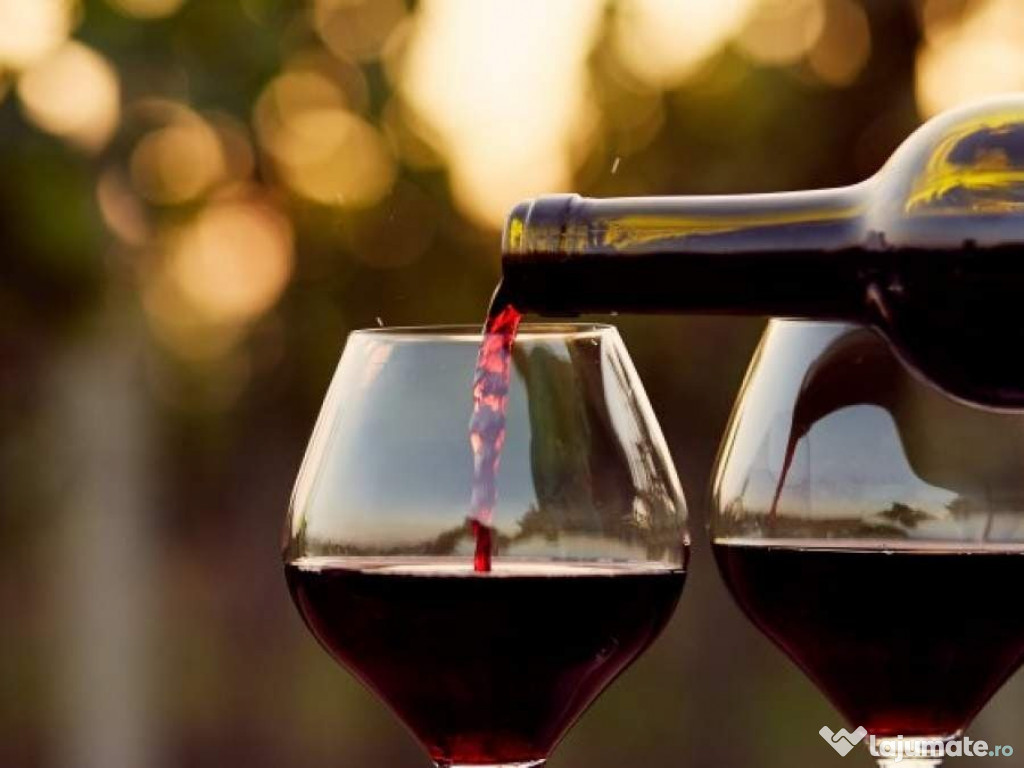 Vin Vita Nobila - Merlot