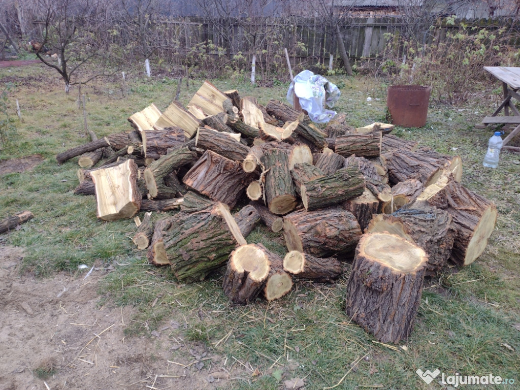 Lemne de salcam pentru foc