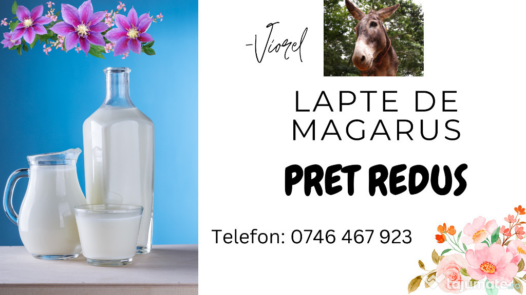 Lapte de magarita (pret redus)