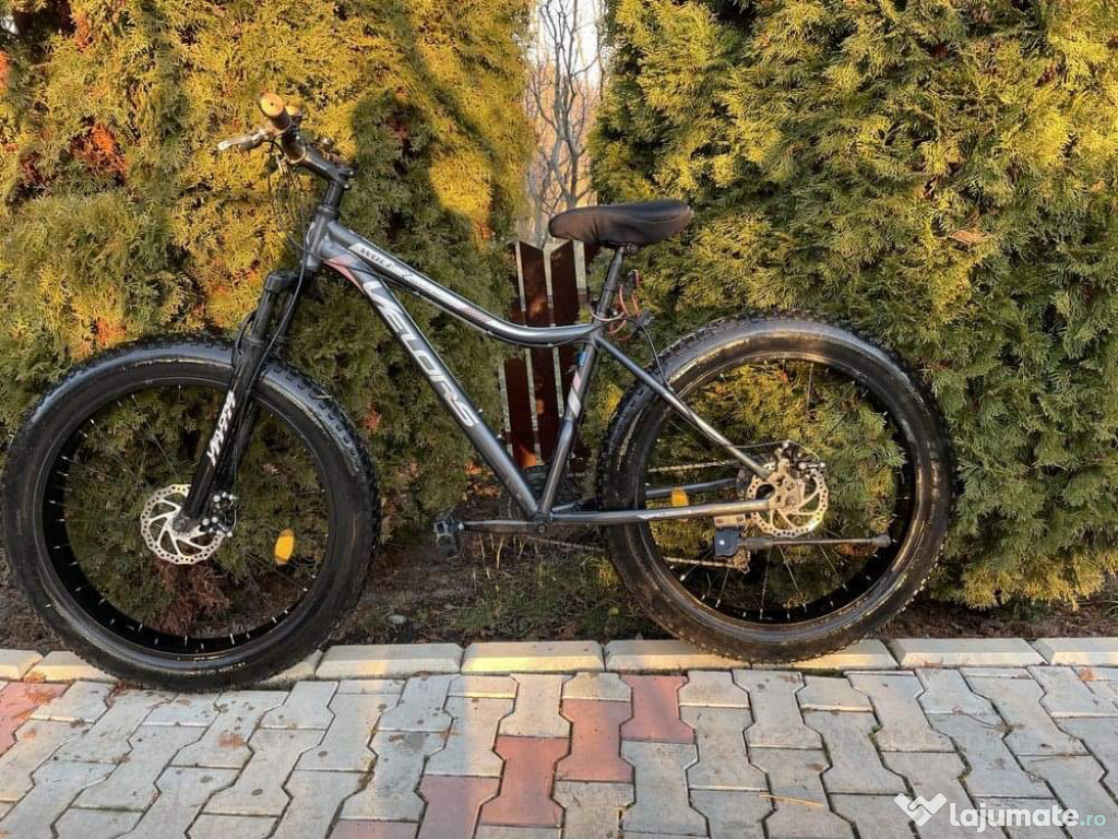 Bicicleta Fat Bike