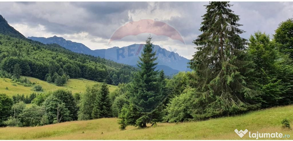 Teren 6000 mp, Valea Dălghiului - Dălghiu - vedere căt...
