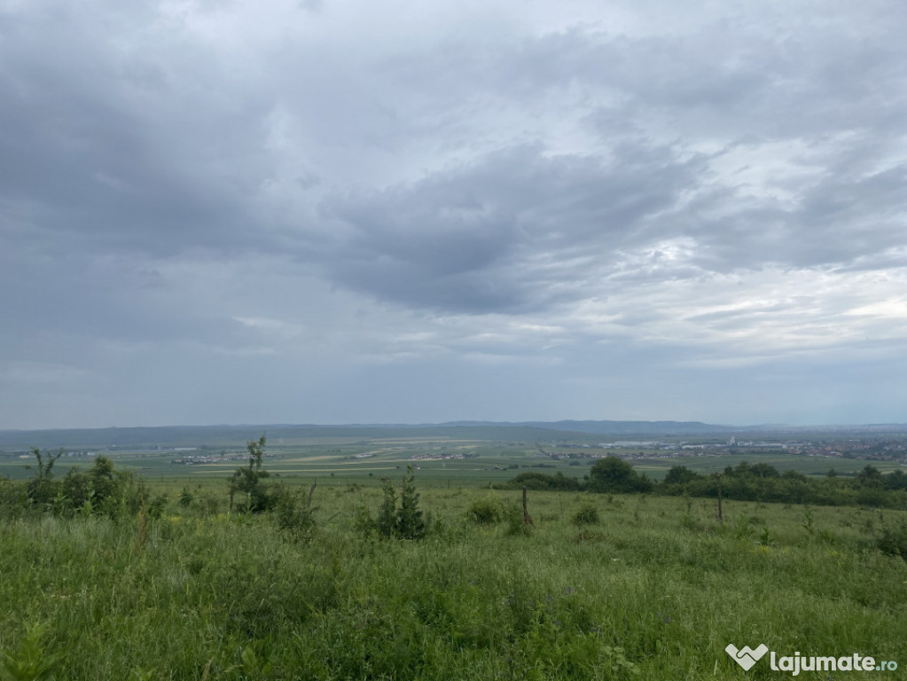 Teren industrial 5ha extravilan parcelabil Sura Mica Sibiu