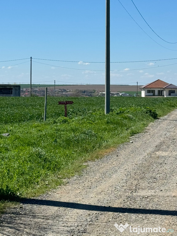 Teren intravilan Tuzla zona Castelul de Apă