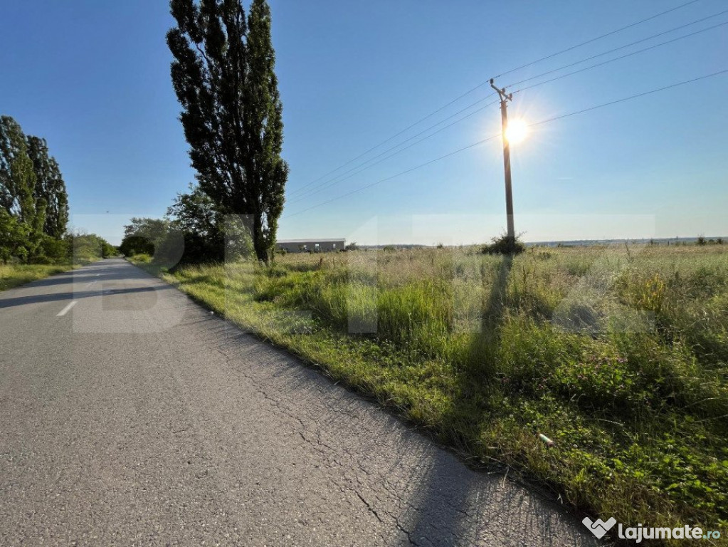 Teren IV/EV 1.800 mp, la asfalt, zona Cârligei - Palilula