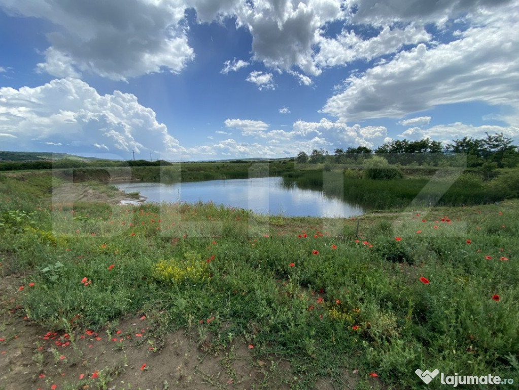 Teren extravilan 10000 mp, cu balta de peste, Salaj, Sarmasa