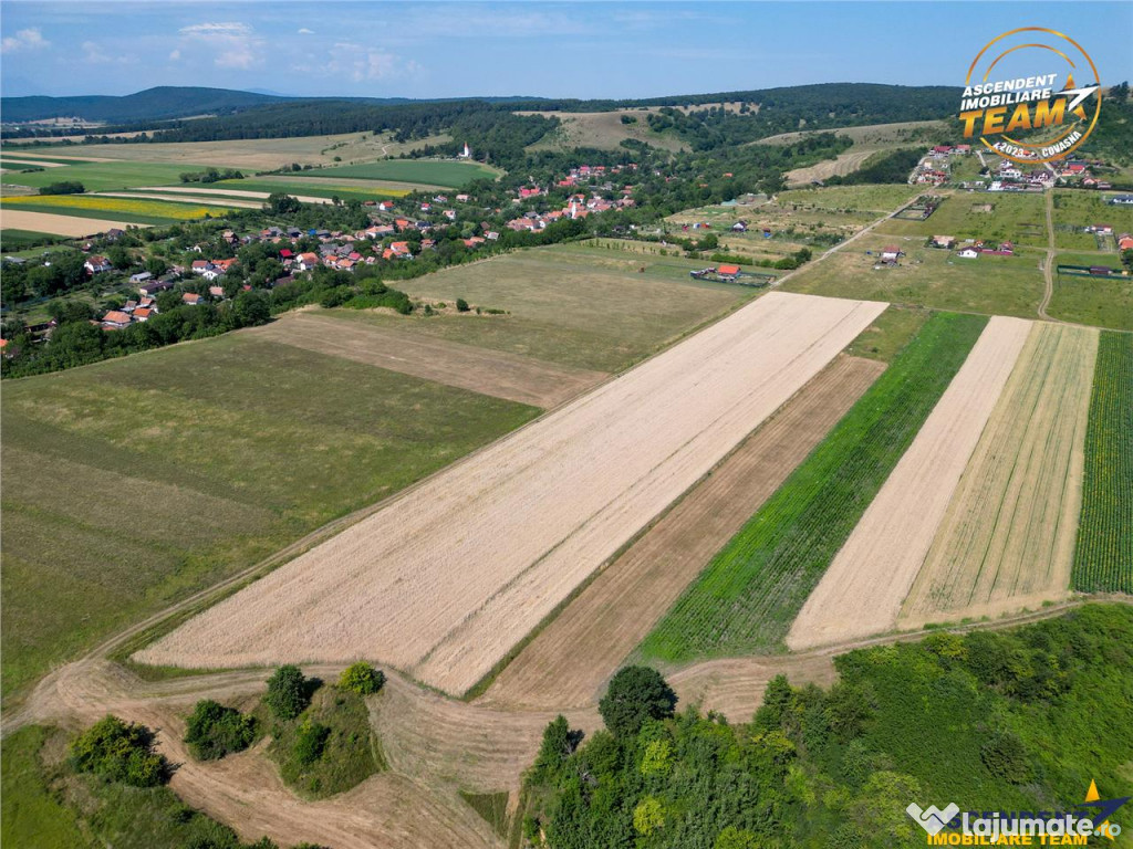 Teren extravilan - . - intravilan, Sancraiu