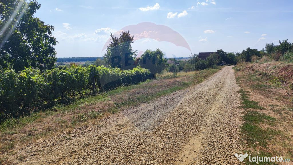 Loc de casa si teren cultivat cu vita de vie 1,2 Ha Santi...