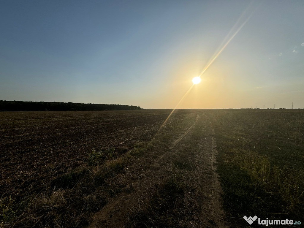 Teren extravilan arabil - Tâncăbești, comuna Snagov, 4365mp