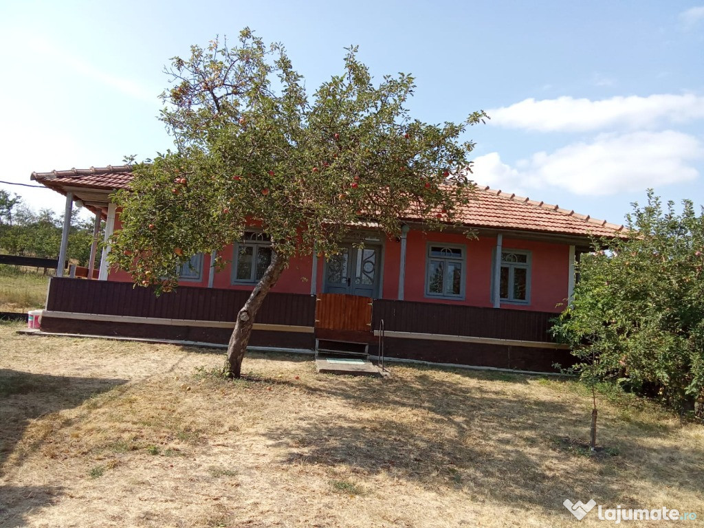 Casa si gradina de vanzare Jud Botosani, Sat Babiceni