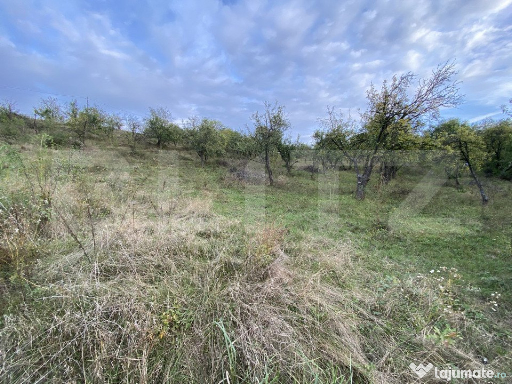 Teren intravilan in Zona Sarmas in suprafata de 750 mp