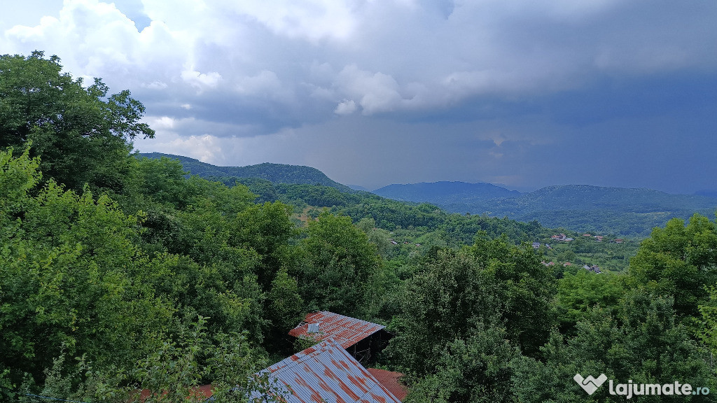 Casă şi livadă, în localitatea Păuşeşti-Măglaşi, sat Coasta