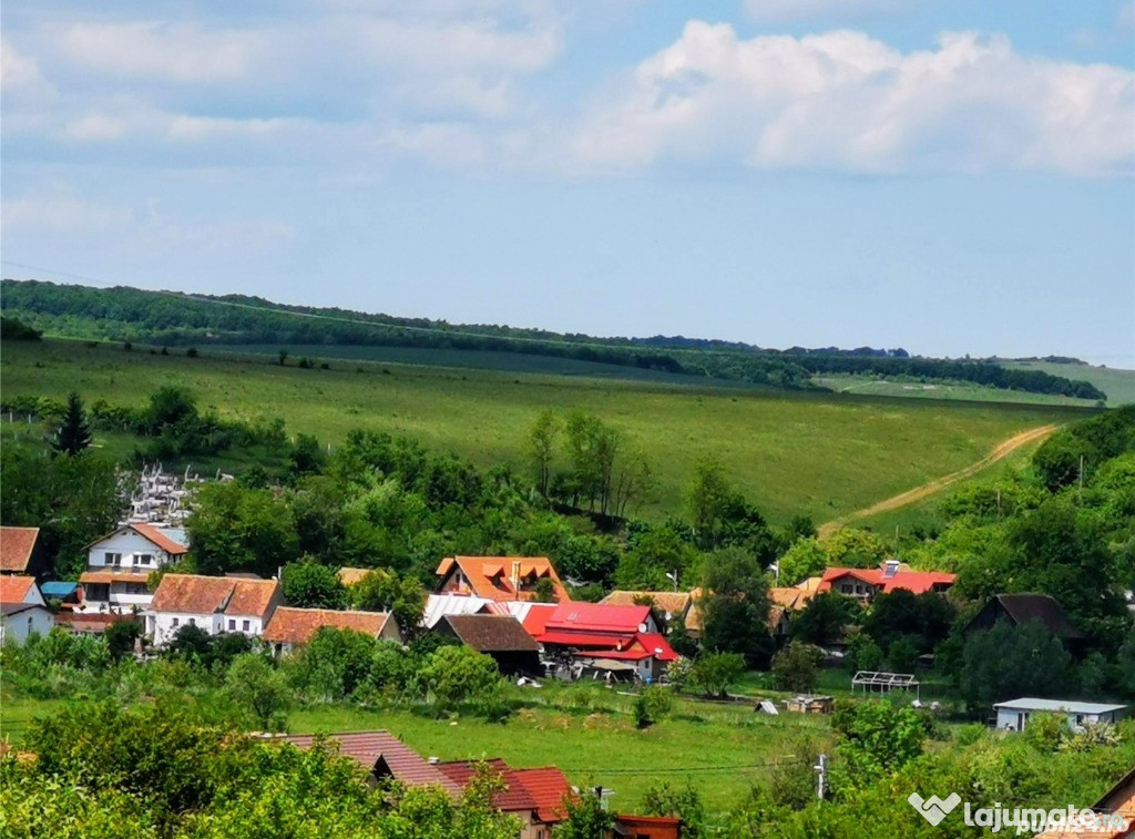 Teren Sibiu, Sura Mica