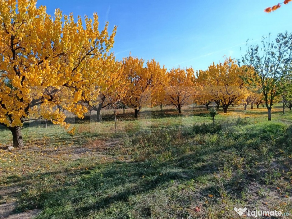 Teren Intravilan 6300 mp Magurele Prahova , Oportunitate !