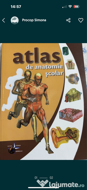 Atlas de anatomie școlar