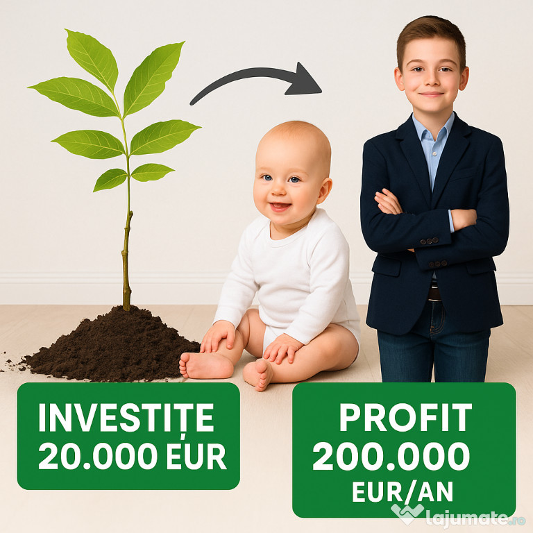 Investește în viitorul copilului tău cu o livadă de nuc Geoagiu
