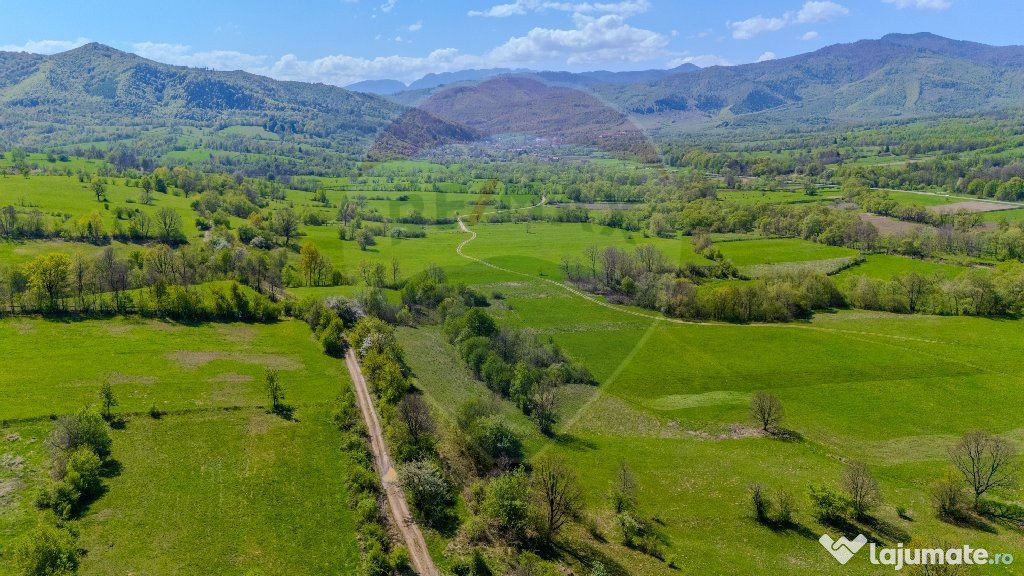 Comision 0 %/ Teren extravilan 1,700mp Sinca Noua / Caban...