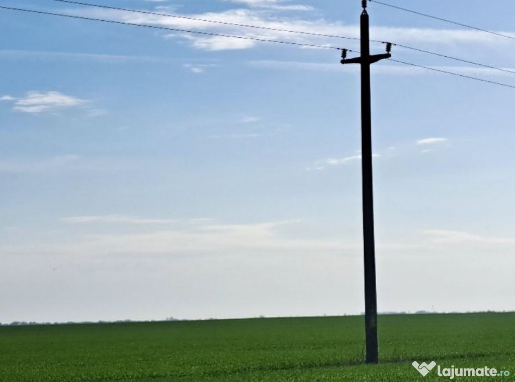 Teren extravilan, Loc Obarsia, Jud Olt