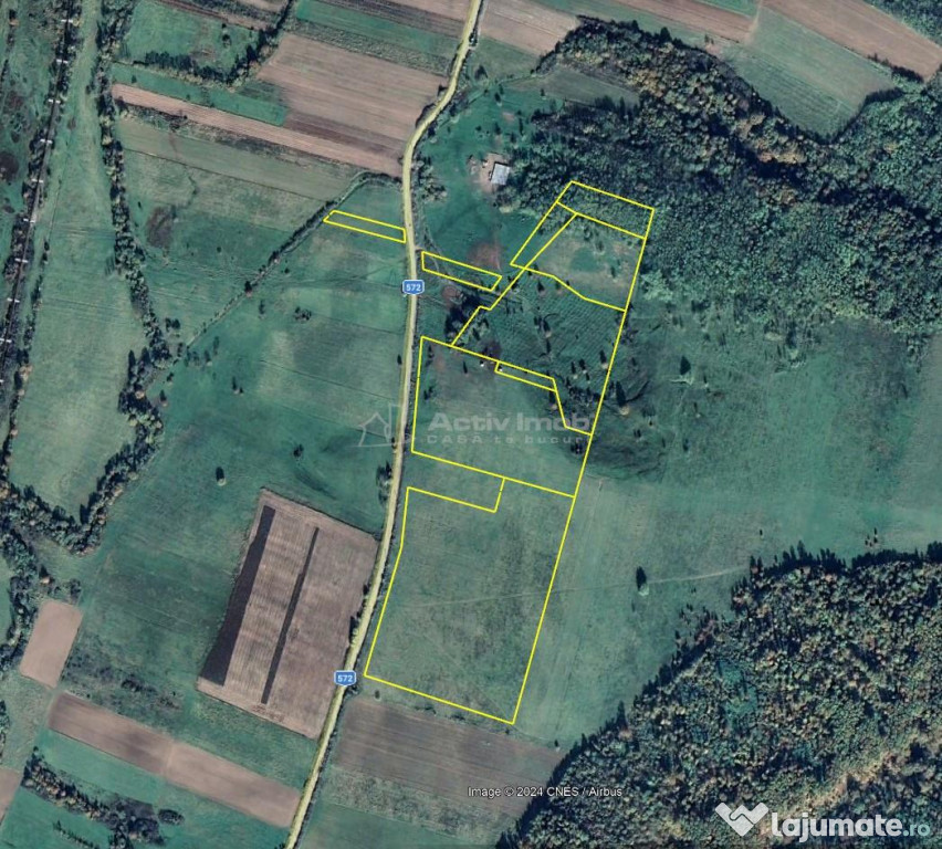 Forotic, Teren Drept Pentru Investitie, 12,75 Hectare (127.5
