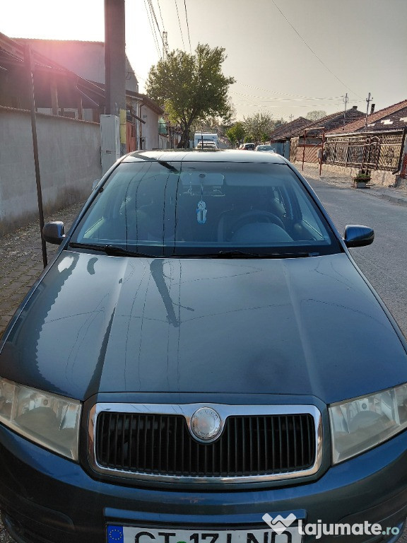 Vand skoda fabia 1