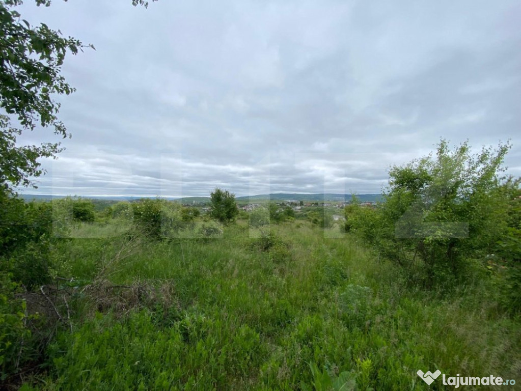 Teren 10.000mp Deschidere 52m Zonă Mănăstirea Cetățuia