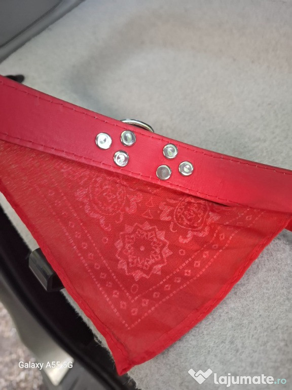 Bandana Caini si Pisici